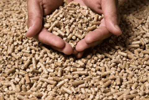 a handful of biofuel wood pellets